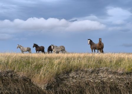 WhatsApp Image 2025-09-10 at 14.12.35_9f4819fa