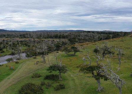 screen_a33c453cf0d4106e_1582741672000